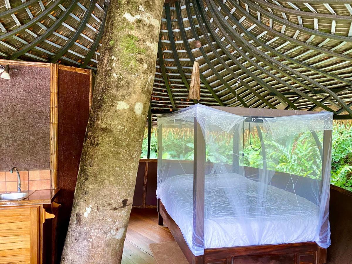 Cabanas Rio Encantado Alto Boquete Eksteriør bilde