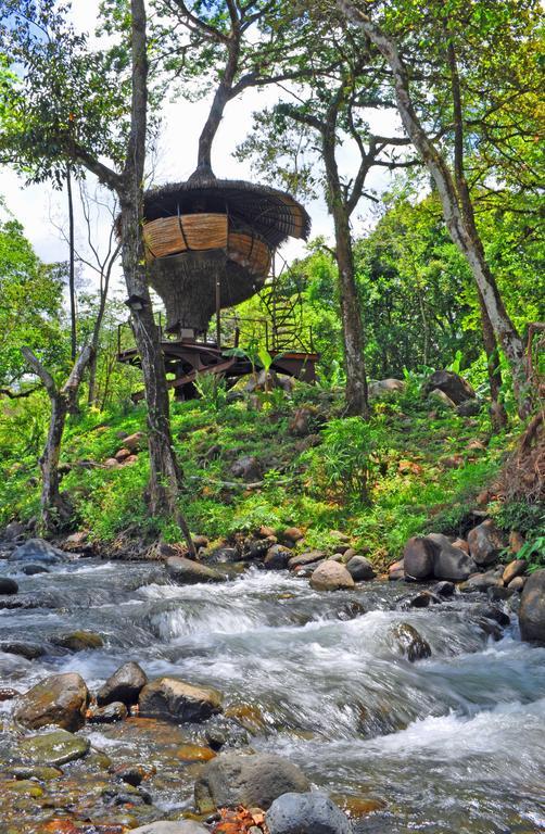 Cabanas Rio Encantado Alto Boquete Eksteriør bilde